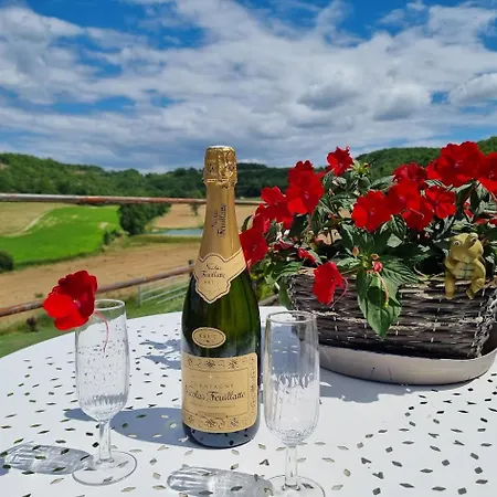 Les Du Treil - 2 Grandes Piscines Privees- 9 - 20 Personnes * Courbiac